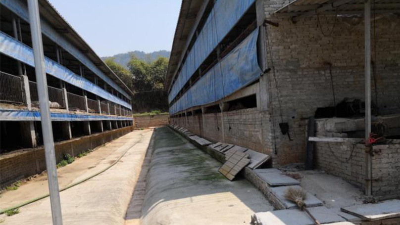 寧德市盛和畜牧有限公司新增年出欄生豬23500頭項目環保竣工驗收